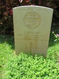 image of grave number 543344
